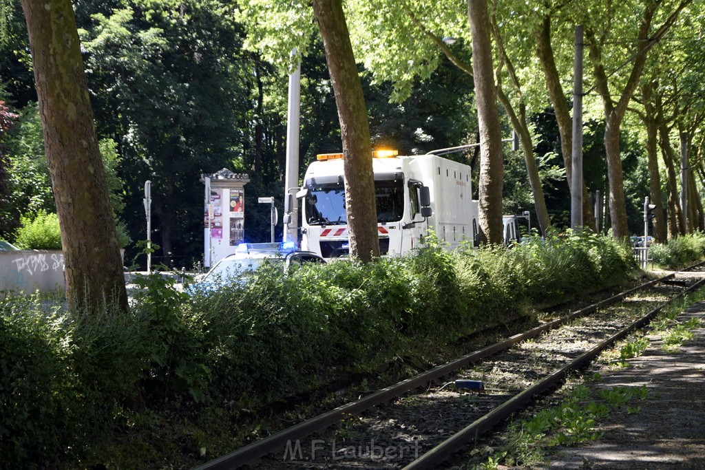 VU Roller KVB Bahn Koeln Luxemburgerstr Neuenhoefer Allee P005.JPG - Miklos Laubert